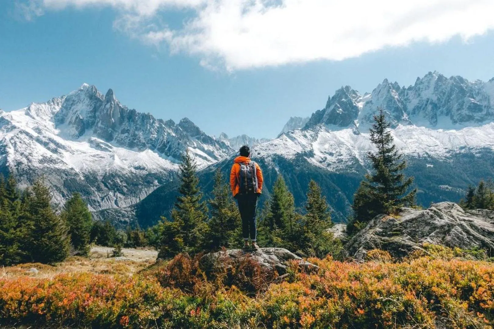 Apartment Le Pied Du Brevent - Walk To Ski Lift, Chamonix Getaway